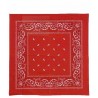 Bandana clasica varios colores